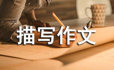 如何通过模拟比赛提升分卫实战经验_0